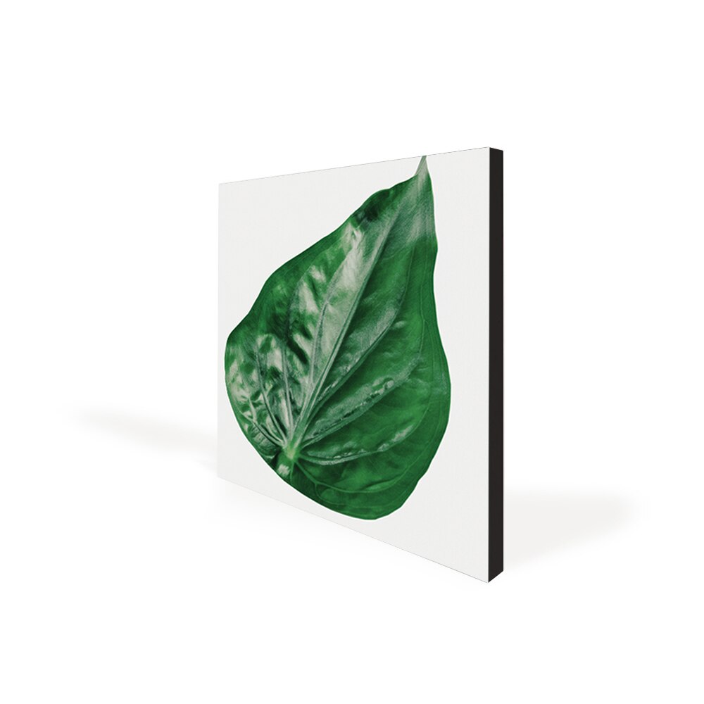Aspen Slim Black Fabric Frames - Wall Mounted 3 Pack (19MM SEG Extrusion) — Graphic Package / 22 In Width x 22 In Height